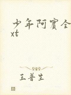 少年阿宾全集txt