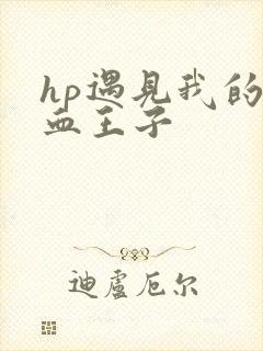 hp遇见我的混血王子