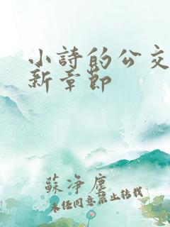 小诗的公交车最新章节