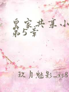 皇家共享小公主第5章