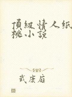 顶级情人纸皮核桃小说