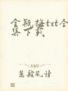 金瓶梅txt全集下载