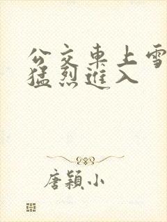 公交车上雪柔被猛烈进入