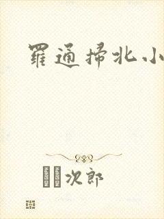罗通扫北小说
