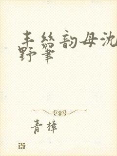 丰丝韵母沈蓉书野笔