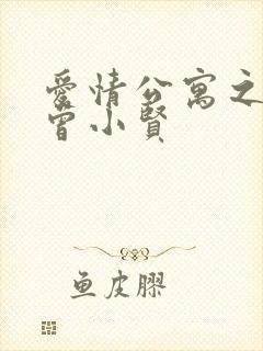 爱情公寓之极品曾小贤