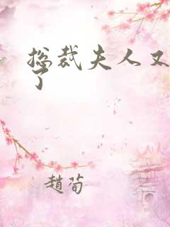 总裁夫人又征婚了