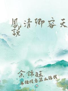 凤清卿容天凌小说