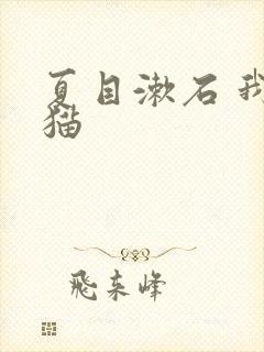 夏目漱石 我是猫