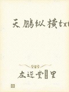天鹏纵横txt