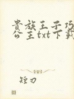 贵族王子巧遇穷公主txt下载