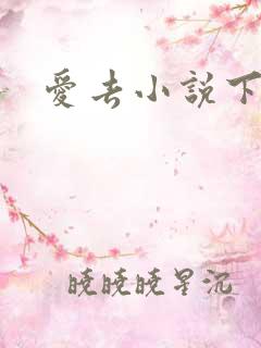 爱去小说下载网