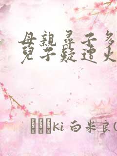 母亲寻子多年 儿子疑遭火车撞击身亡