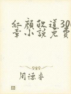 红颜政道300章小说免费阅读