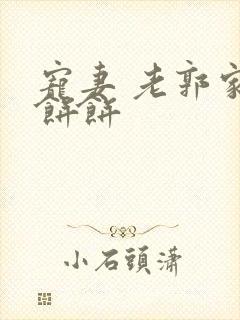 宠妻 老郭家的饼饼