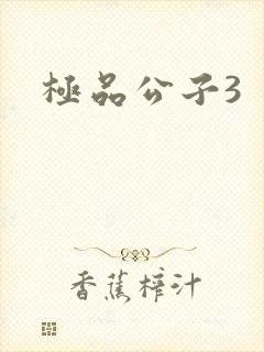 极品公子3