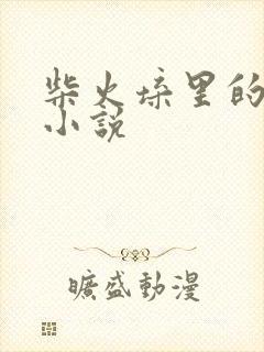 柴火垛里的疯狂小说