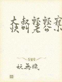 大叔轻轻宠宝贝快叫老公小说