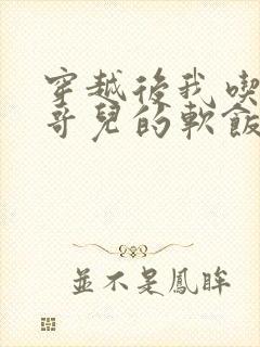 穿越后我吃到了哥儿的软饭炉山灰