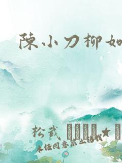 陈小刀柳如意