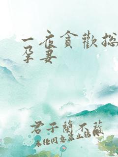 一夜贪欢总裁幸孕妻