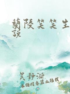 兰陵笑笑生的小说