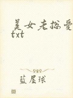 美女老总爱上我txt