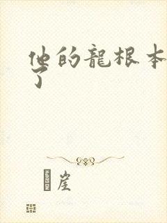 他的龙根本太大了