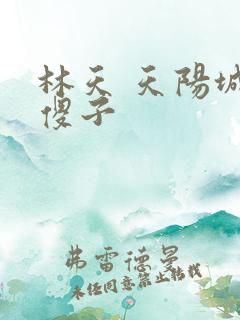 林天 天阳城 傻子
