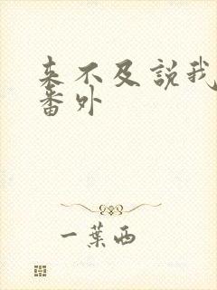 来不及说我爱你番外