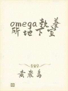 omega教养所地下室