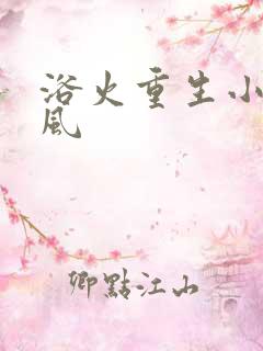 浴火重生小说陈风