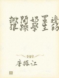 掀开奶罩边躁狠狠躁学生的小文字