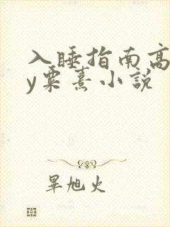 入睡指南高干by粟熹小说