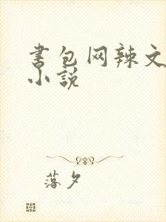 书包网辣文全本小说
