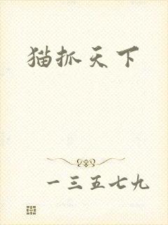 猫抓天下