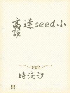 高达seed小说