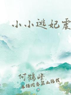 小小逃妃震江山