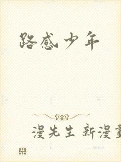 路感少年