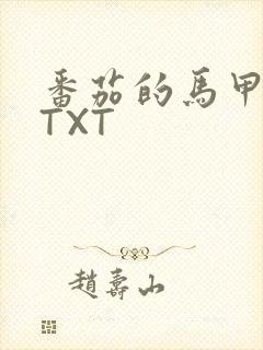 番茄的马甲小说TXT