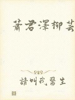 萧君泽柳芸小说