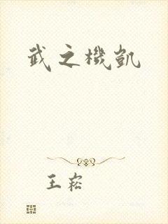 武之机凯