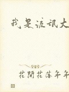 我是流氓大律师