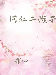 网红二懒子车祸