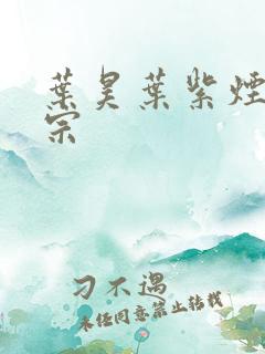 叶昊叶紫烟老祖宗