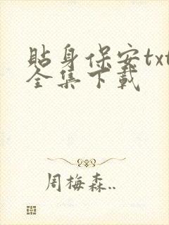 贴身保安txt全集下载