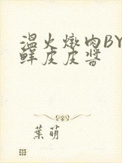 温火炖肉BY海鲜皮皮酱