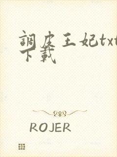 调皮王妃txt下载
