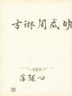 方琳周成明小说