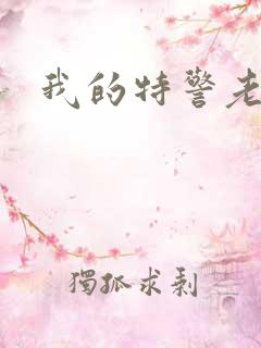 我的特警老婆